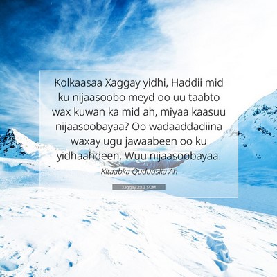 Picture 07 - Xaggay 2:13 SOM - Kolkaasaa Xaggay yidhi, Haddii mid ku nijaasoobo - Bible Verse Picture