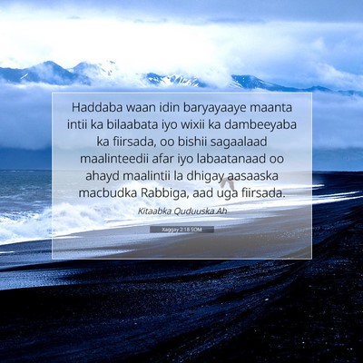 Picture 07 - Xaggay 2:18 SOM - Haddaba waan idin baryayaaye maanta intii ka - Bible Verse Picture
