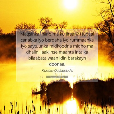 Picture 07 - Xaggay 2:19 SOM - Maqsinka iniino ma ku jiraan? Hubaal canabka iyo - Bible Verse Picture