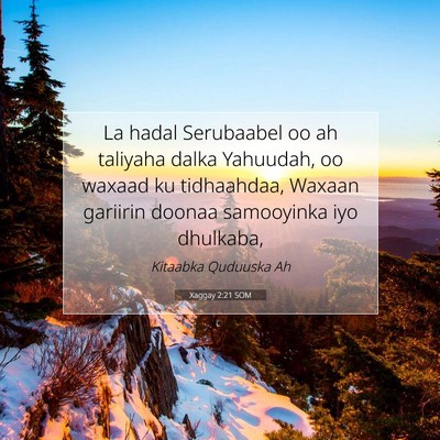Picture 07 - Xaggay 2:21 SOM - La hadal Serubaabel oo ah taliyaha dalka - Bible Verse Picture