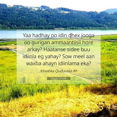 Picture 07 - Xaggay 2:3 SOM - Yaa hadhay oo idin dhex jooga oo gurigan - Bible Verse Picture