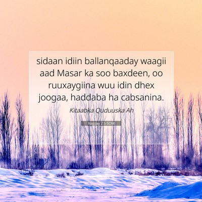 Picture 07 - Xaggay 2:5 SOM - sidaan idiin ballanqaaday waagii aad Masar ka soo - Bible Verse Picture