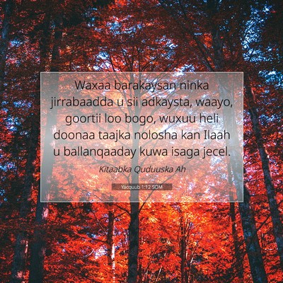 Picture 07 - Yacquub 1:12 SOM - Waxaa barakaysan ninka jirrabaadda u sii - Bible Verse Picture