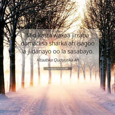 Picture 07 - Yacquub 1:14 SOM - Mid kasta waxaa jirraba damaciisa sharka ah - Bible Verse Picture
