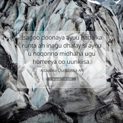 Picture 07 - Yacquub 1:18 SOM - Isagoo doonaya ayuu hadalka runta ah inagu dhalay - Bible Verse Picture