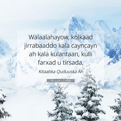 Picture 07 - Yacquub 1:2 SOM - Walaalahayow, kolkaad jirrabaaddo kala cayncayn - Bible Verse Picture