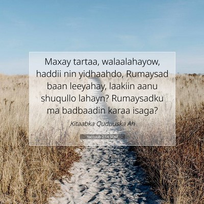 Picture 07 - Yacquub 2:14 SOM - Maxay tartaa, walaalahayow, haddii nin yidhaahdo, - Bible Verse Picture