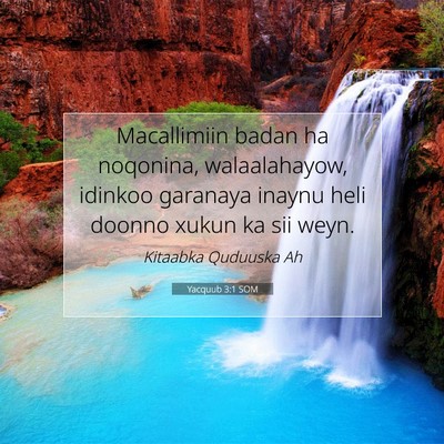 Picture 07 - Yacquub 3:1 SOM - Macallimiin badan ha noqonina, walaalahayow, - Bible Verse Picture