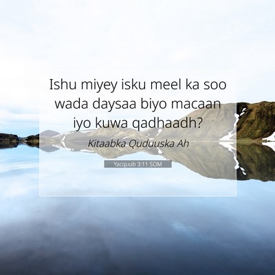 Picture 07 - Yacquub 3:11 SOM - Ishu miyey isku meel ka soo wada daysaa biyo - Bible Verse Picture