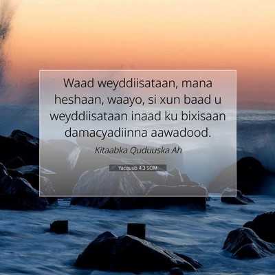 Picture 07 - Yacquub 4:3 SOM - Waad weyddiisataan, mana heshaan, waayo, si xun - Bible Verse Picture