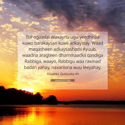 Picture 07 - Yacquub 5:11 SOM - Bal ogaada! Waxaynu ugu yeedhnaa kuwo barakaysan - Bible Verse Picture