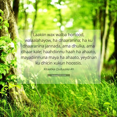 Picture 07 - Yacquub 5:12 SOM - Laakiin wax walba hortood, walaalahayow, ha - Bible Verse Picture