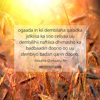 Picture 07 - Yacquub 5:20 SOM - ogaada in kii dembilaha qaladka jidkiisa ka soo - Bible Verse Picture