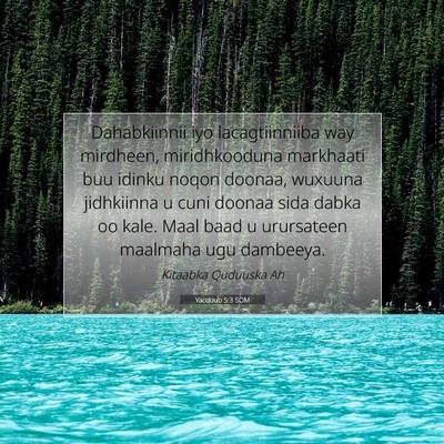 Picture 07 - Yacquub 5:3 SOM - Dahabkiinnii iyo lacagtiinniiba way mirdheen, - Bible Verse Picture