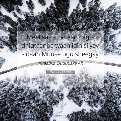 Picture 07 - Yashuuca 1:3 SOM - Meel kasta oo aad cagta dhigtaanba waan idin - Bible Verse Picture