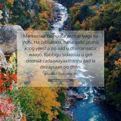 Picture 07 - Yashuuca 10:25 SOM - Markaasaa Yashuuca wuxuu iyagii ku yidhi, Ha - Bible Verse Picture