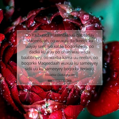 Picture 07 - Yashuuca 10:28 SOM - Oo Yashuuca maalintaasuu qabsaday Maqeedaah, oo - Bible Verse Picture