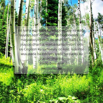 Picture 07 - Yashuuca 10:37 SOM - oo iyana way qabsadeen, oo waxay ku wada laayeen - Bible Verse Picture