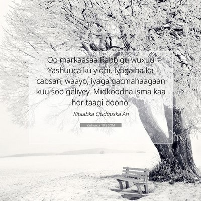 Picture 07 - Yashuuca 10:8 SOM - Oo markaasaa Rabbigu wuxuu Yashuuca ku yidhi, - Bible Verse Picture