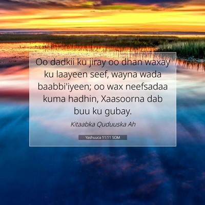 Picture 07 - Yashuuca 11:11 SOM - Oo dadkii ku jiray oo dhan waxay ku laayeen seef, - Bible Verse Picture