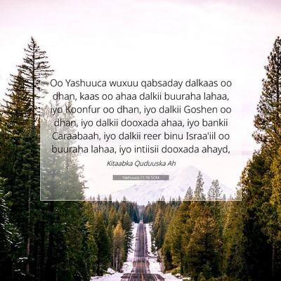 Picture 07 - Yashuuca 11:16 SOM - Oo Yashuuca wuxuu qabsaday dalkaas oo dhan, kaas - Bible Verse Picture