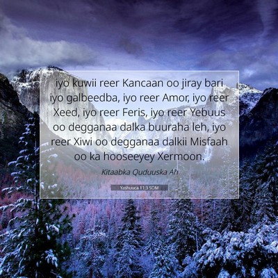 Picture 07 - Yashuuca 11:3 SOM - iyo kuwii reer Kancaan oo jiray bari iyo - Bible Verse Picture