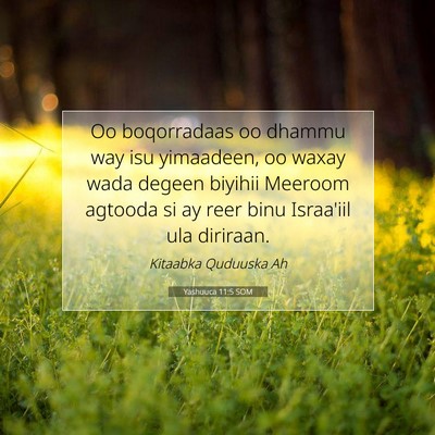 Picture 07 - Yashuuca 11:5 SOM - Oo boqorradaas oo dhammu way isu yimaadeen, oo - Bible Verse Picture