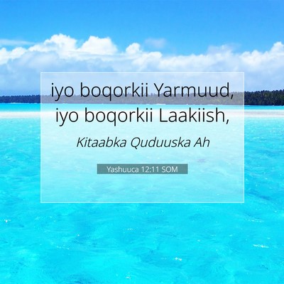 Picture 07 - Yashuuca 12:11 SOM - iyo boqorkii Yarmuud, iyo boqorkii - Bible Verse Picture