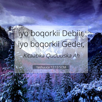Picture 07 - Yashuuca 12:13 SOM - iyo boqorkii Debiir, iyo boqorkii - Bible Verse Picture