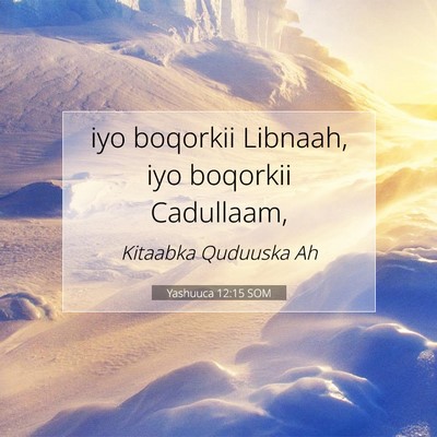 Picture 07 - Yashuuca 12:15 SOM - iyo boqorkii Libnaah, iyo boqorkii - Bible Verse Picture