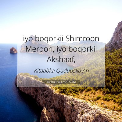 Picture 07 - Yashuuca 12:20 SOM - iyo boqorkii Shimroon Meroon, iyo boqorkii - Bible Verse Picture