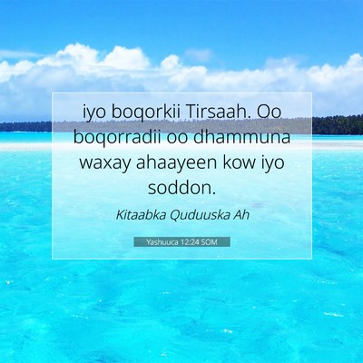 Picture 07 - Yashuuca 12:24 SOM - iyo boqorkii Tirsaah. Oo boqorradii oo dhammuna - Bible Verse Picture