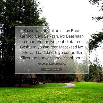 Picture 07 - Yashuuca 12:5 SOM - Kaasu wuxuu xukumi jiray Buur Xermoon, iyo - Bible Verse Picture