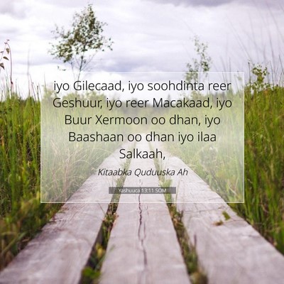 Picture 07 - Yashuuca 13:11 SOM - iyo Gilecaad, iyo soohdinta reer Geshuur, iyo - Bible Verse Picture
