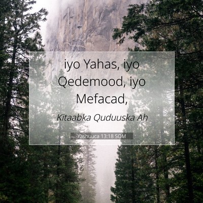 Picture 07 - Yashuuca 13:18 SOM - iyo Yahas, iyo Qedemood, iyo - Bible Verse Picture