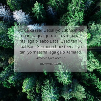 Picture 07 - Yashuuca 13:5 SOM - iyo dalka reer Gebal iyo Lubnaan oo dhan, xagga - Bible Verse Picture
