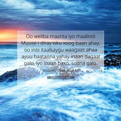 Picture 07 - Yashuuca 14:11 SOM - Oo weliba maanta iyo maalintii Muuse i diray isku - Bible Verse Picture
