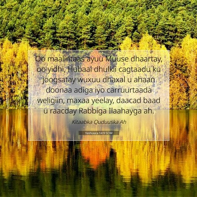 Picture 07 - Yashuuca 14:9 SOM - Oo maalintaas ayuu Muuse dhaartay, oo yidhi, - Bible Verse Picture