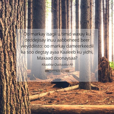 Picture 07 - Yashuuca 15:18 SOM - Oo markay isagii u timid waxay ku deddejisay inuu - Bible Verse Picture