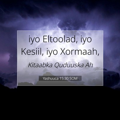 Picture 07 - Yashuuca 15:30 SOM - iyo Eltoolad, iyo Kesiil, iyo - Bible Verse Picture