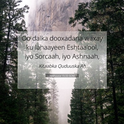 Picture 07 - Yashuuca 15:33 SOM - Oo dalka dooxadana waxay ku lahaayeen Eshtaa'ool, - Bible Verse Picture