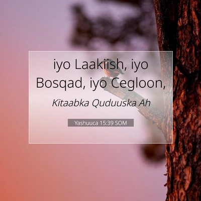 Picture 07 - Yashuuca 15:39 SOM - iyo Laakiish, iyo Bosqad, iyo - Bible Verse Picture