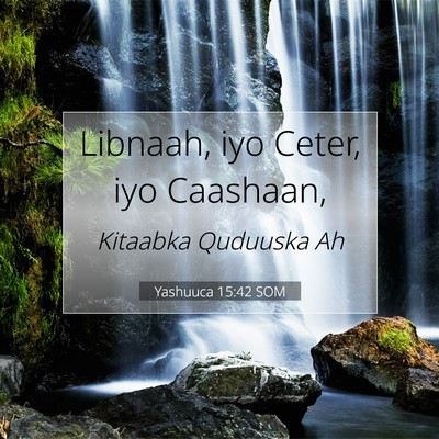 Picture 07 - Yashuuca 15:42 SOM - Libnaah, iyo Ceter, iyo - Bible Verse Picture