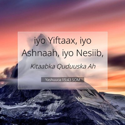 Picture 07 - Yashuuca 15:43 SOM - iyo Yiftaax, iyo Ashnaah, iyo - Bible Verse Picture