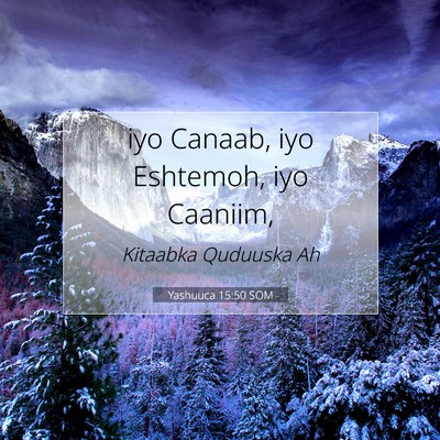 Picture 07 - Yashuuca 15:50 SOM - iyo Canaab, iyo Eshtemoh, iyo - Bible Verse Picture
