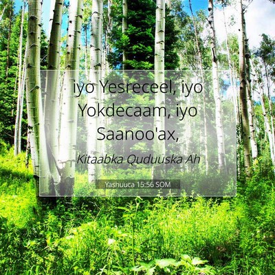 Picture 07 - Yashuuca 15:56 SOM - iyo Yesreceel, iyo Yokdecaam, iyo - Bible Verse Picture