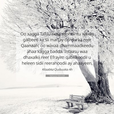 Picture 07 - Yashuuca 16:8 SOM - Oo xagga Tafuu'axna soohdintu waxay galbeed ka - Bible Verse Picture