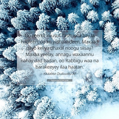 Picture 07 - Yashuuca 17:14 SOM - Oo reerkii Yuusuf Yashuuca bay la hadleen, oo ku - Bible Verse Picture