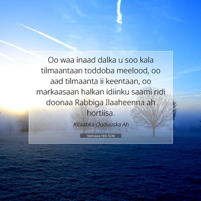 Picture 07 - Yashuuca 18:6 SOM - Oo waa inaad dalka u soo kala tilmaantaan toddoba - Bible Verse Picture