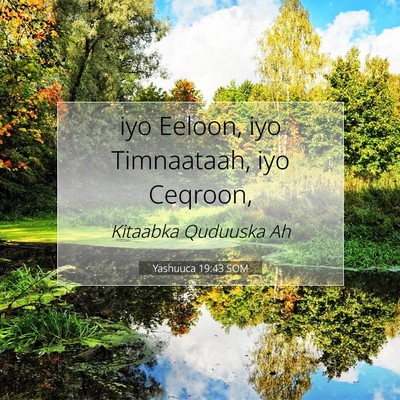 Picture 07 - Yashuuca 19:43 SOM - iyo Eeloon, iyo Timnaataah, iyo - Bible Verse Picture